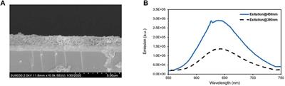 Redox-Hopping-Based Charge Transport Mediated by Ru(II)-Polypyridyl Species Immobilized in a Mesoporous Metal-Organic Framework